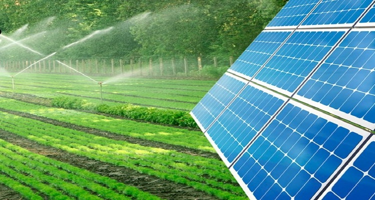 ارائه مدل سیاست گذاری توسعه انرژی های تجدید پذیر در بخش کشاورزی ایران